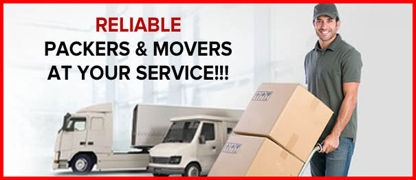Packers And Movers Noida Sector 20